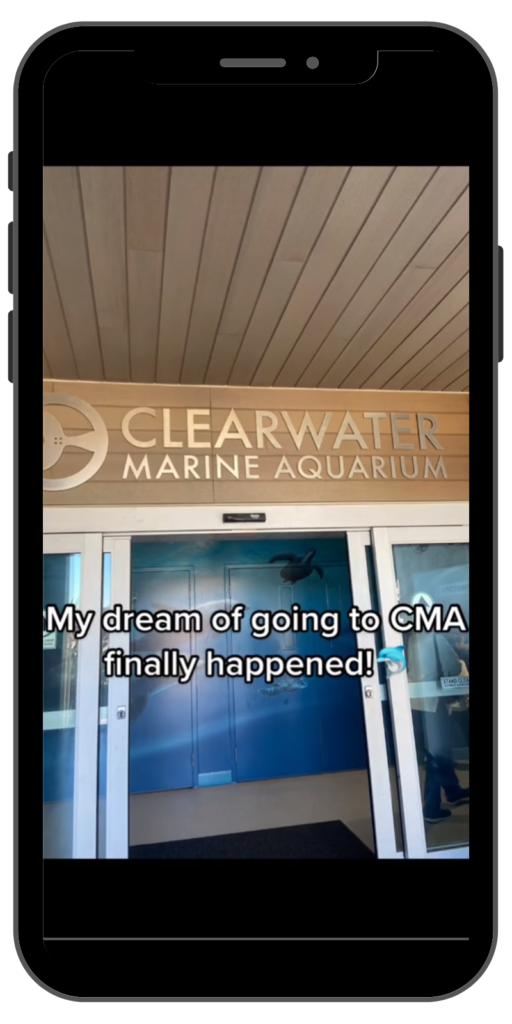 Example of influencer marketing on TikTok for Clearwater Marine Aquarium