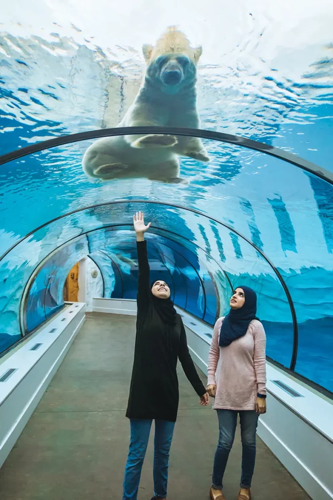 Detroit Zoo — Visitors Exploring an Aquarium Exhibit