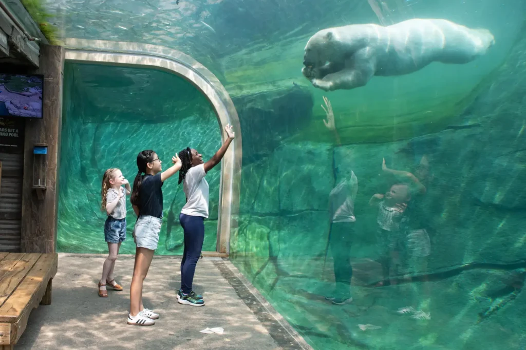 Visitors viewing wildlife at the Detroit Zoo.