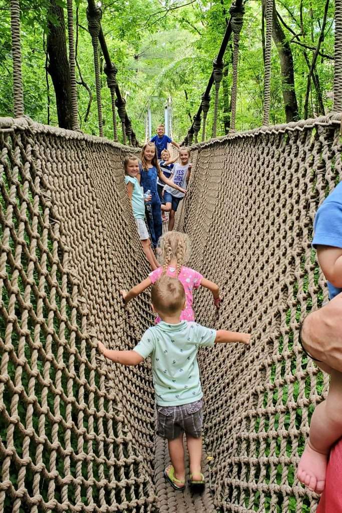 Children exploring a museum experience